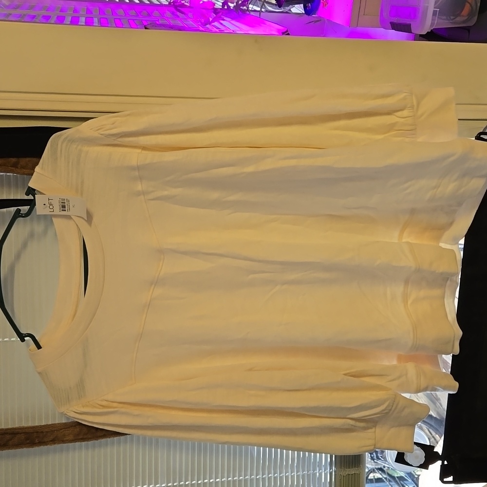 Loft women's top